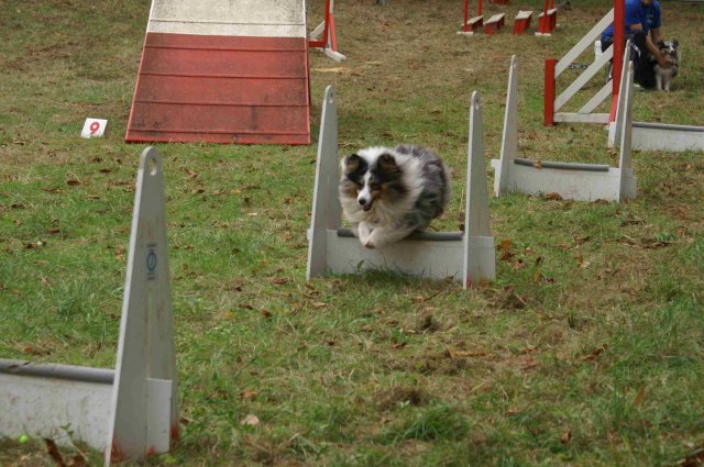 foire-haricots 2011-09-17et18